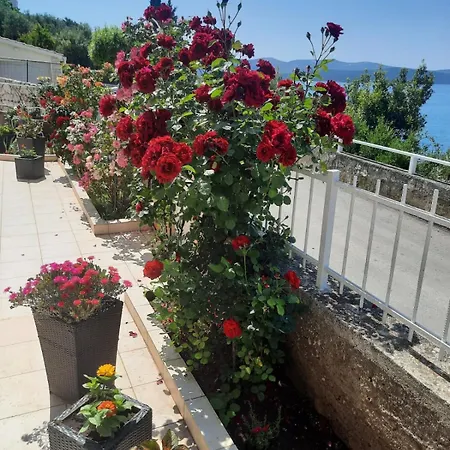 Apartments By The Sea Brodarica, Sibenik - 921 *